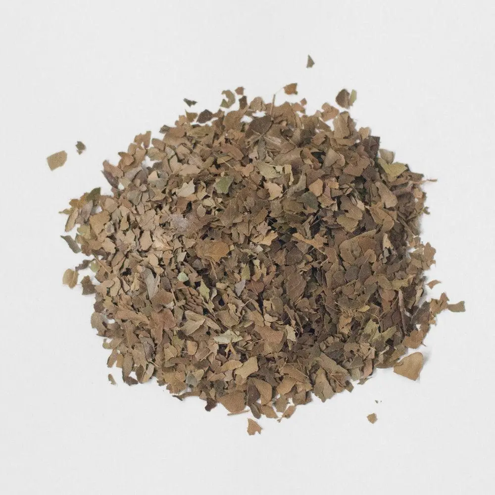 Catspring Yaupon Lost Maples - Medium Roast Bulk (1 Lb) 1