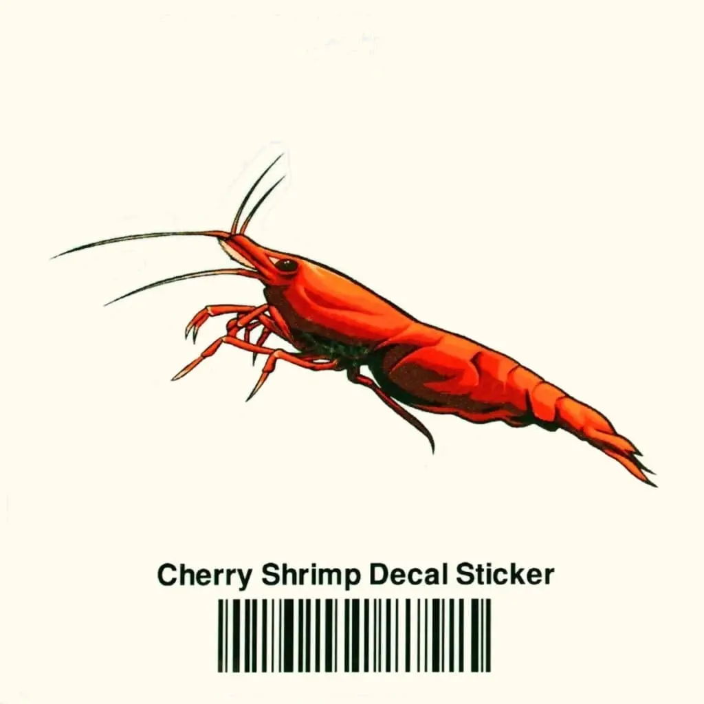 Cherry Shrimp Decal Sticker 1