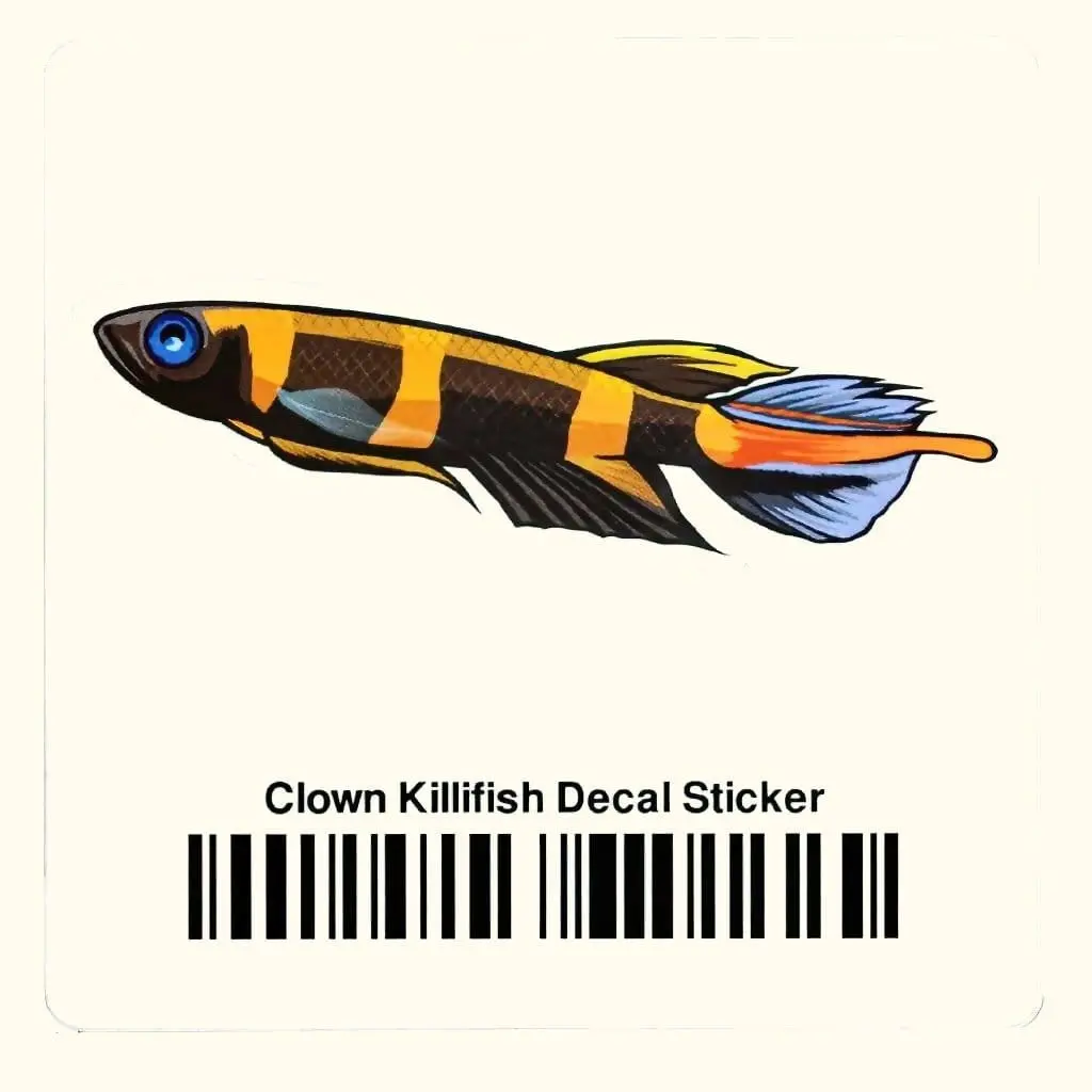 Clown Killifish Decal Sticker 1