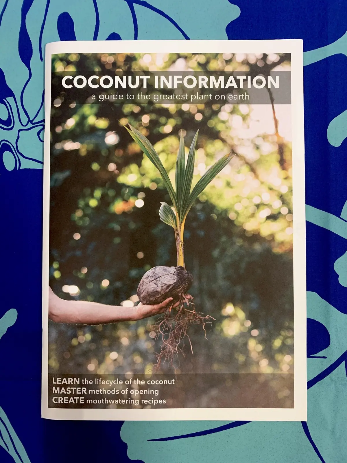 Coconut Information: A Guide To The Greatest Plant On Earth 1