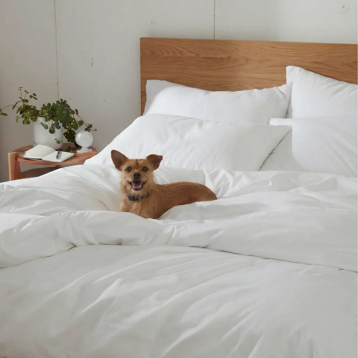 Public Goods Organic Duvet Cover 2