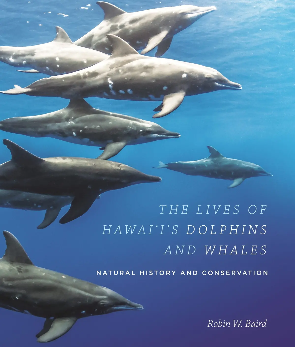 Lives Of Hawai‘I’S Dolphins And Whales: Natural History And Conservation, The 1