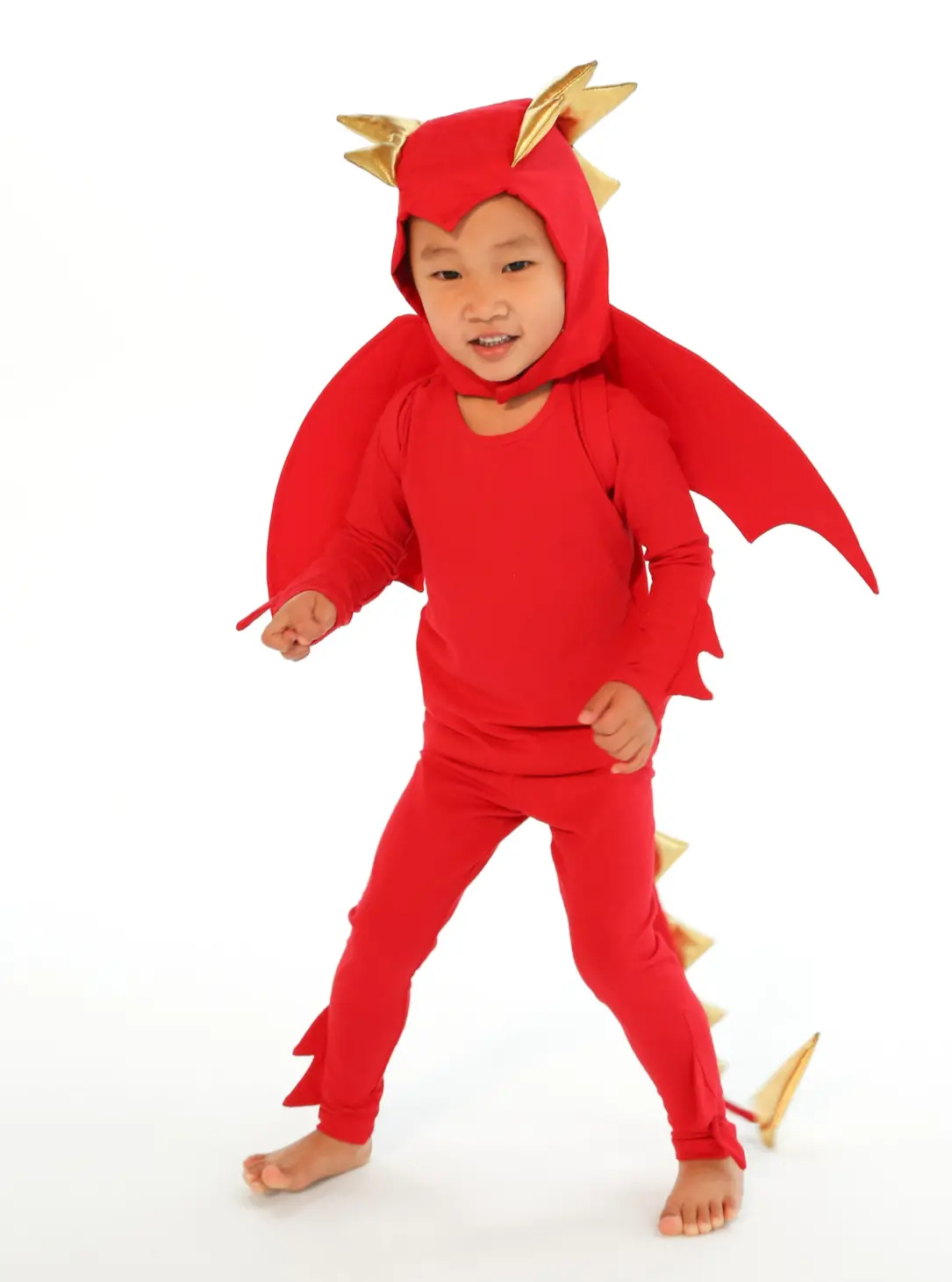 Band Of The Wild Red Dragon Costume 1
