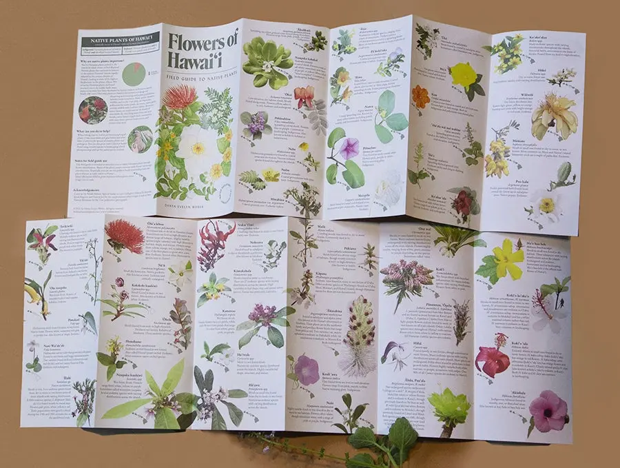 Flowers Of Hawaiʻi Field Guide 2