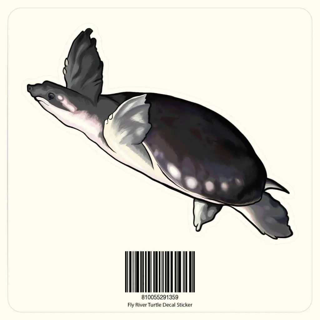 Fly River Turtle Decal Sticker 1