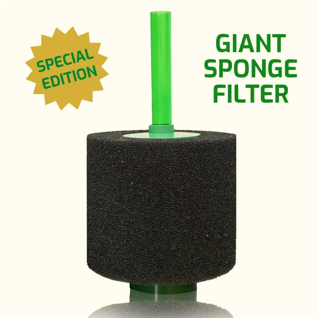 Giant Coarse Sponge Filter 1