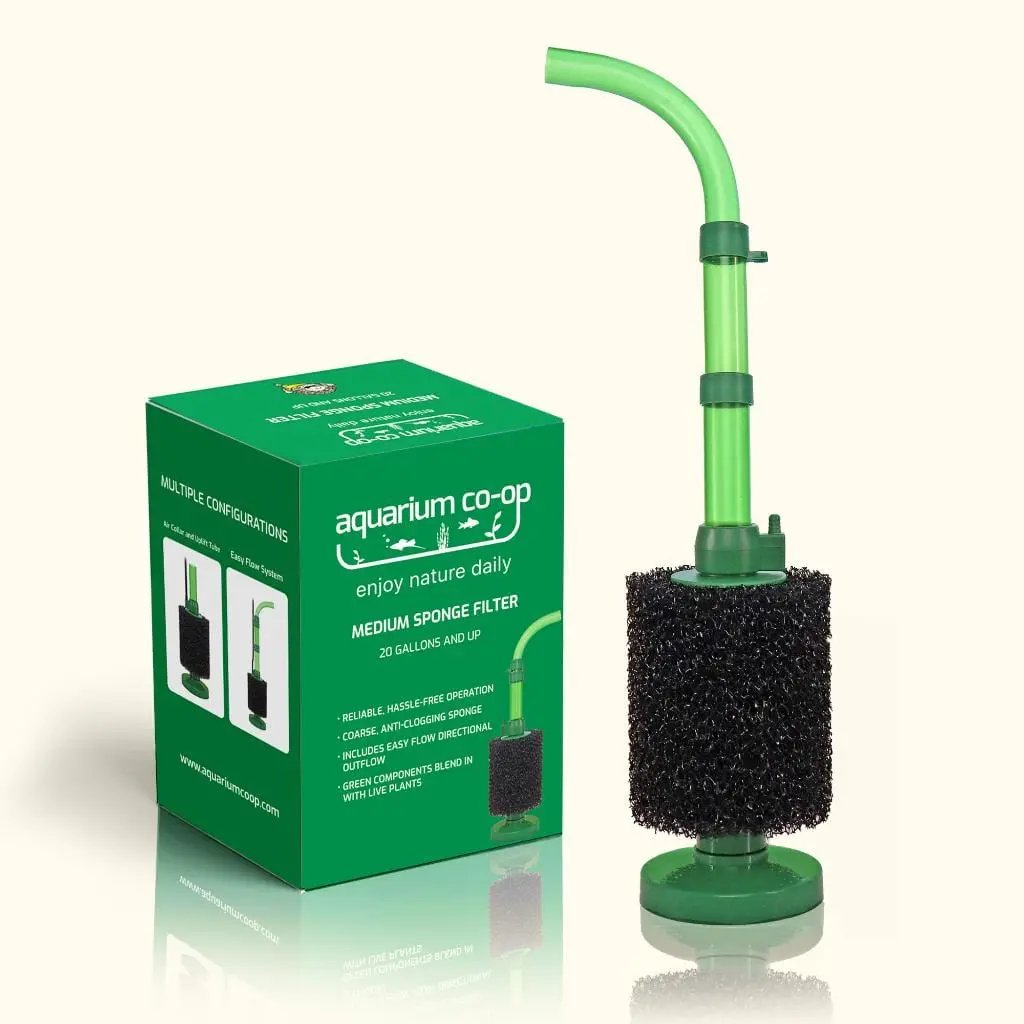 Green Easy Flow Sponge Filter (Coarse) 1
