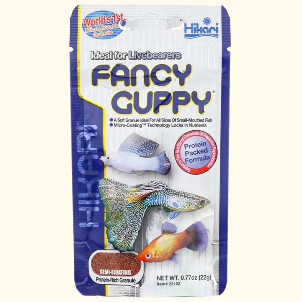 Hikari Fancy Guppy 1