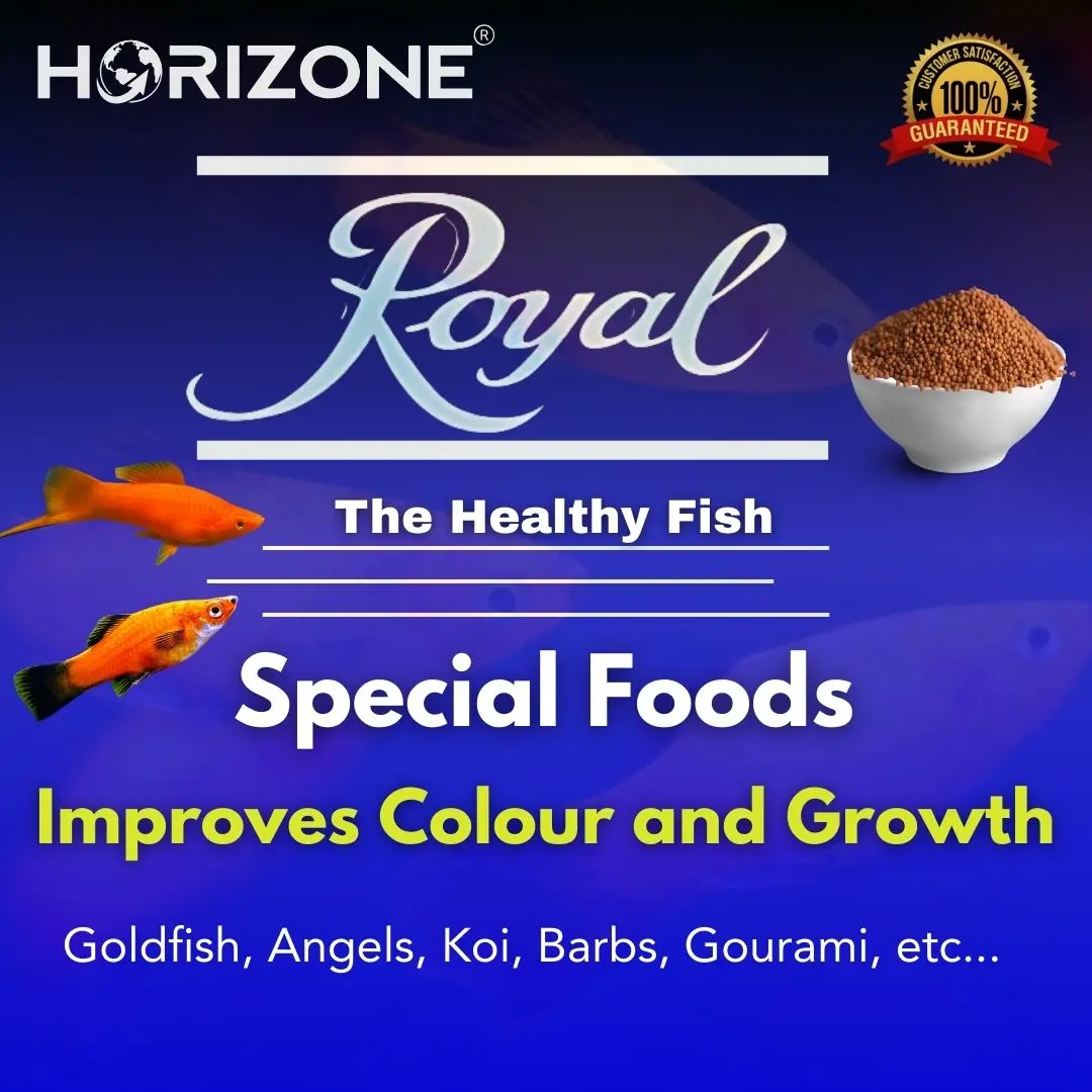 Food Royal Special 22G 1