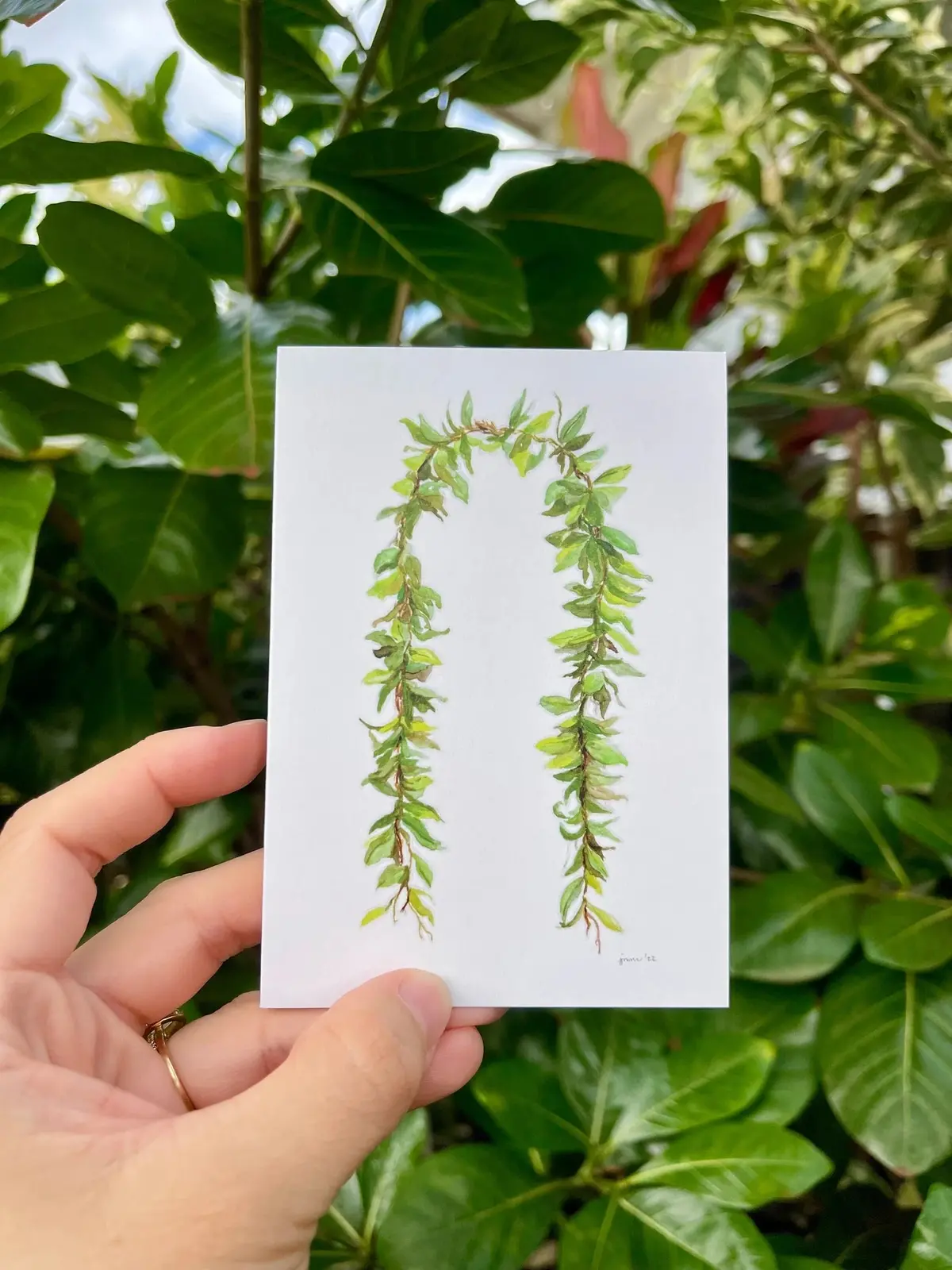 Aloha Post Cards By Jaime Cunnane 1