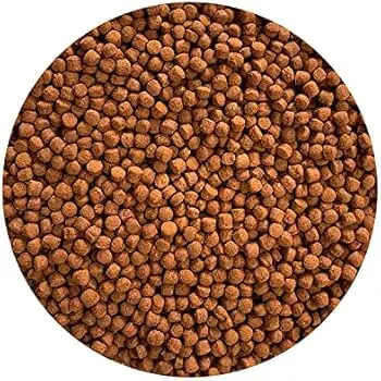 Food Inch Gold Parrot Color Enhancer 2