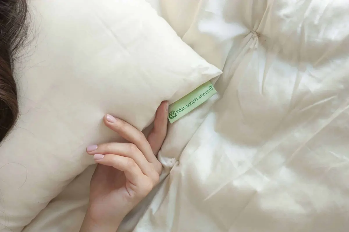 White Lotus Kapok Pillows With Organic Casing 1