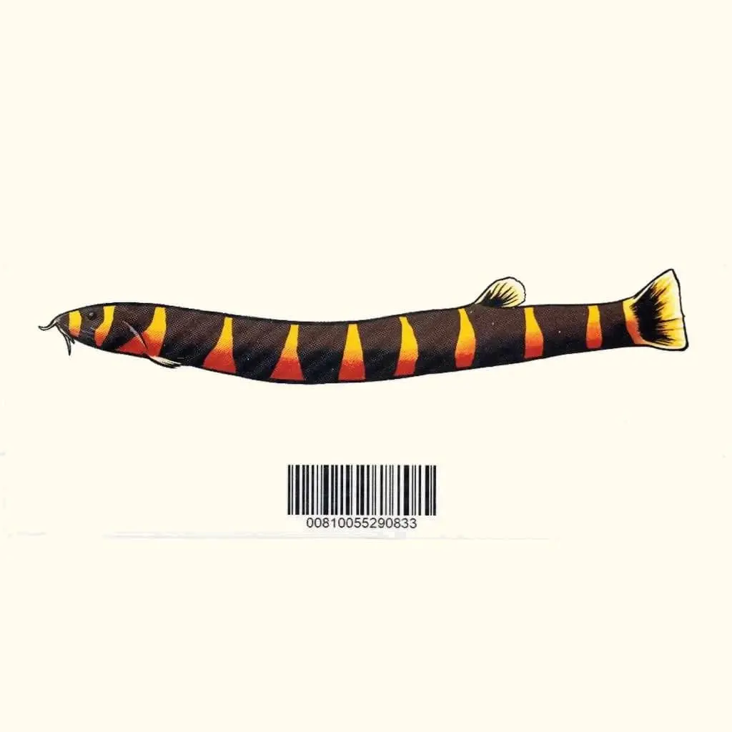 Kuhli Loach Decal Sticker 1