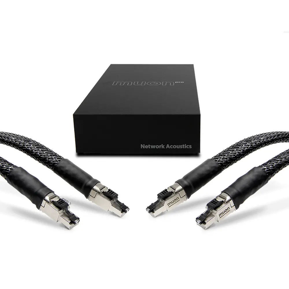 Network Acoustics Muon Pro Streaming System 1