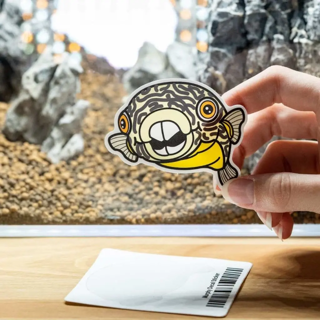 Murphy Decal Sticker 1