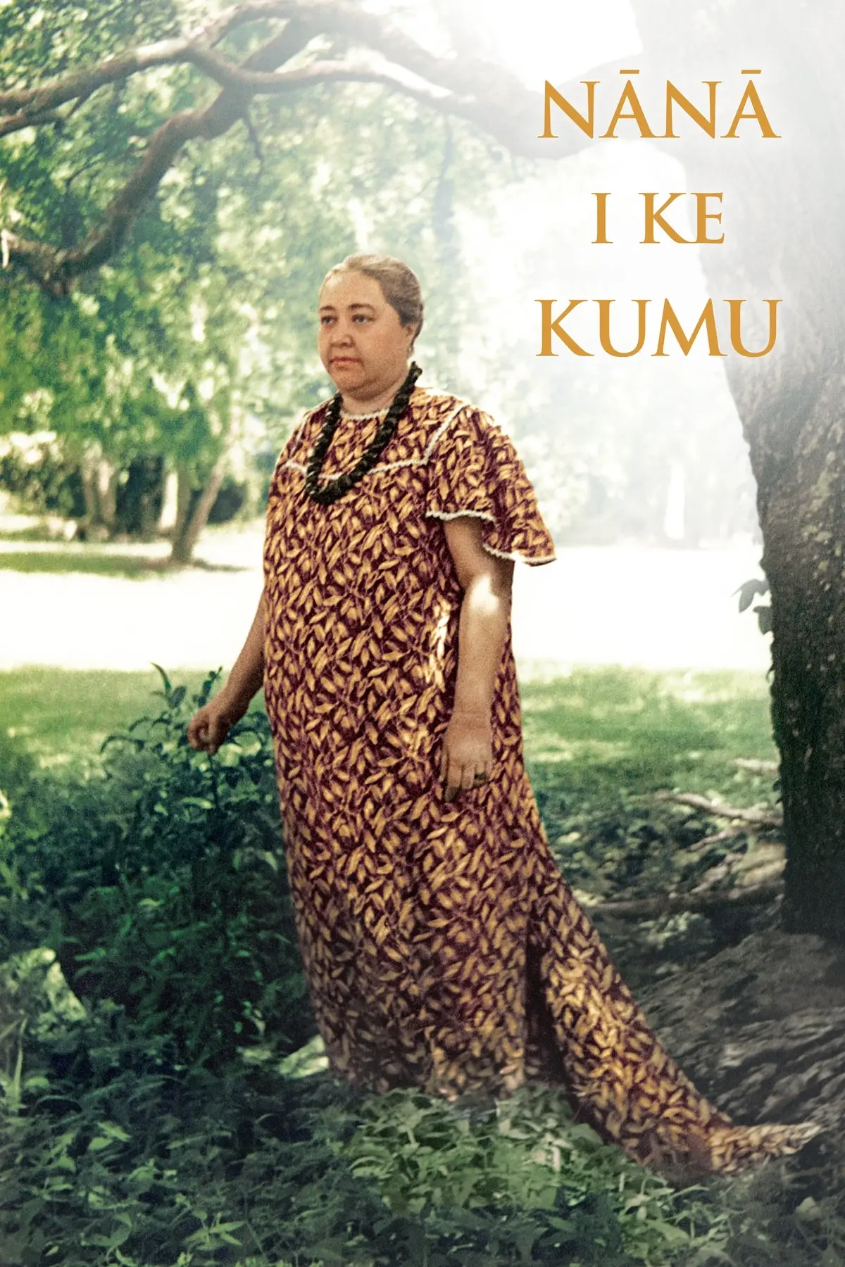 Nānā I Ke Kumu: Look To The Source, Volume I 1
