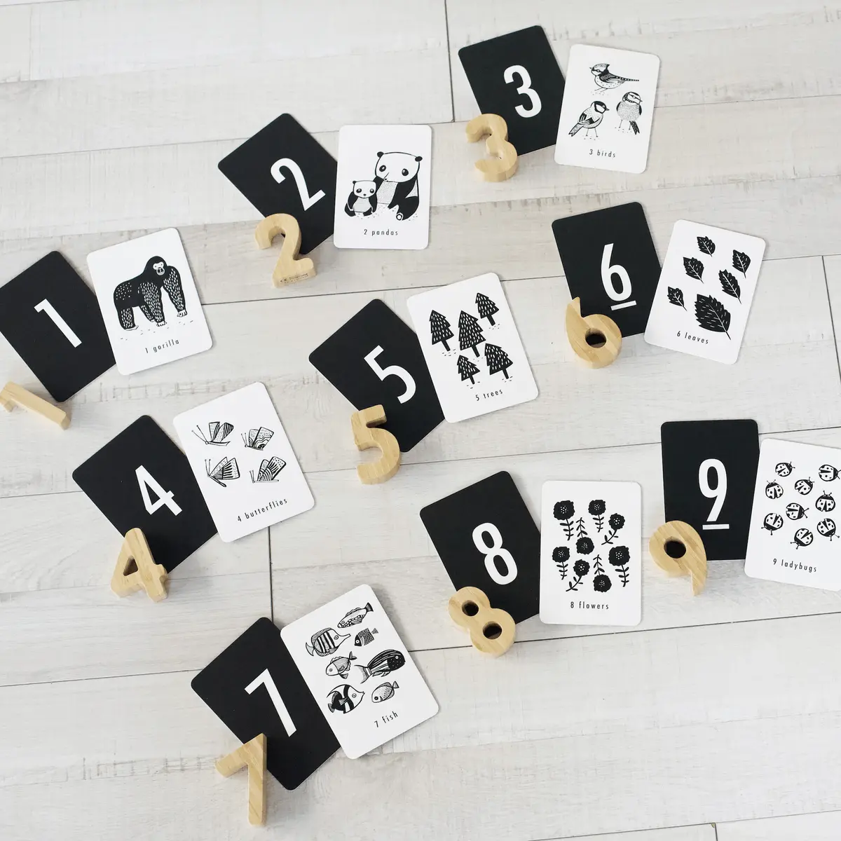Wee Gallery Counting Adventure Bundle 1