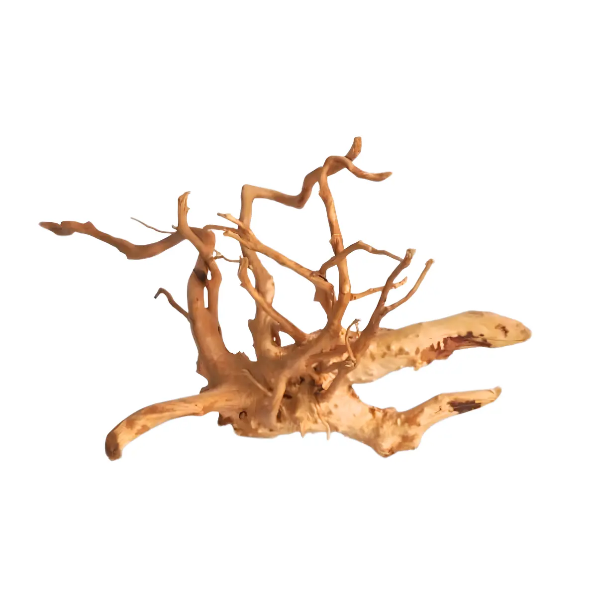 Premium Drift Wood Pd-10 | L*W*H = 20*8*10 Inches 1