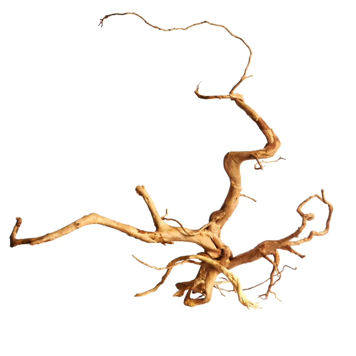 Premium Drift Wood Pd-12 | L*W*H = 26*13*8 Inches 1