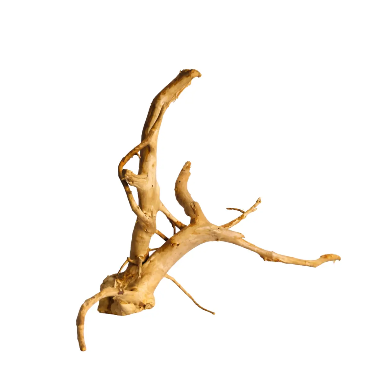 Premium Drift Wood Pd-13 | L*W*H = 21*14*11 Inches 1