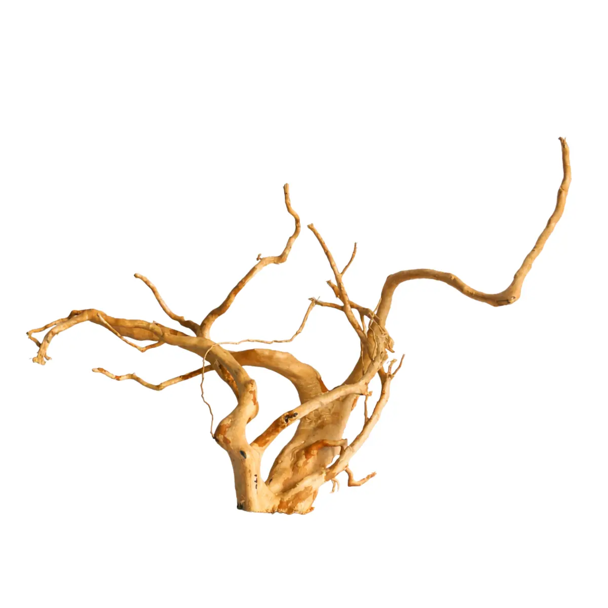 Premium Drift Wood Pd15 | L*W*H = 28*13*8 Inches 1