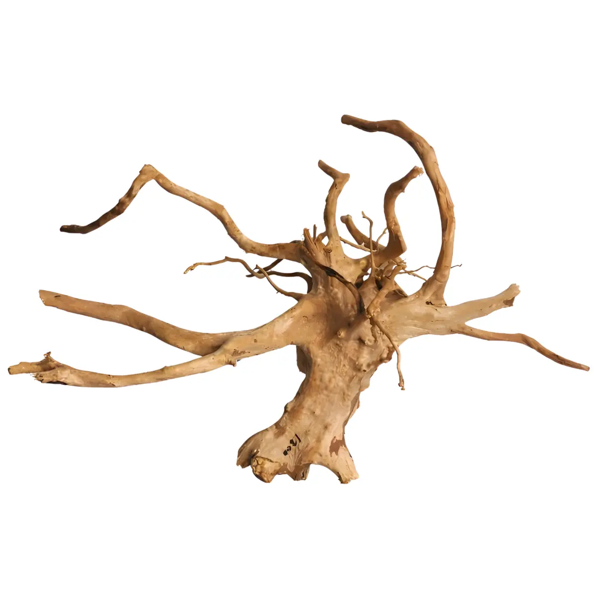 Premium Drift Wood Pd-17 | L*W*H = 23*15*17 Inches 1