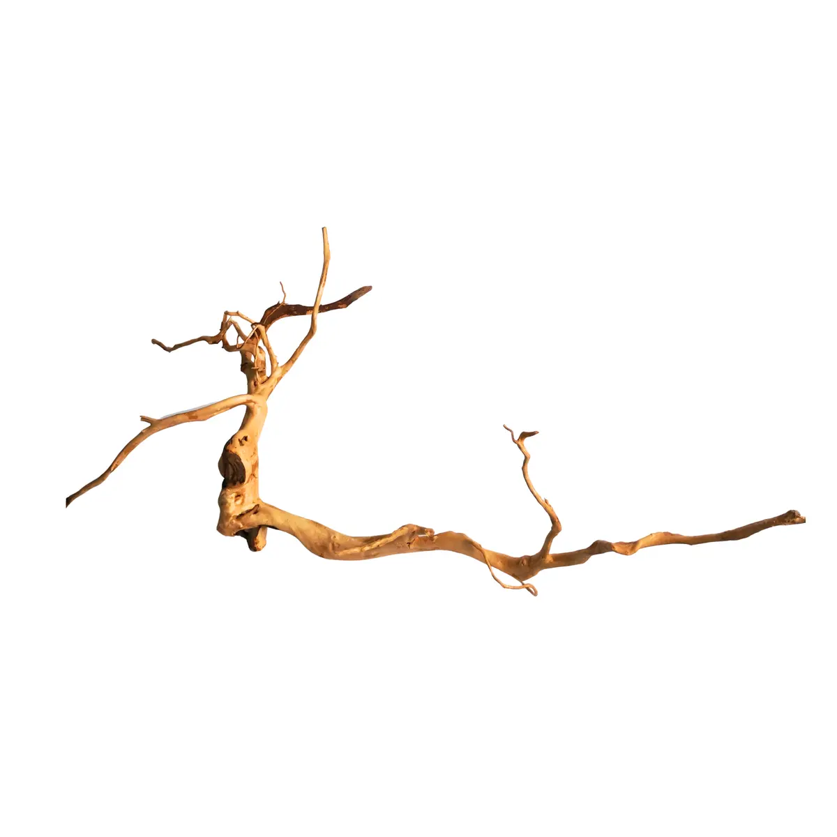 Premium Drift Wood Pd-22 | L*W*H = 30*22*15 Inches 1