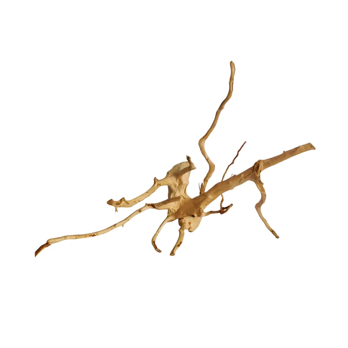 Premium Drift Wood Pd-23 | L*W*H = 22*12*17 Inches 1