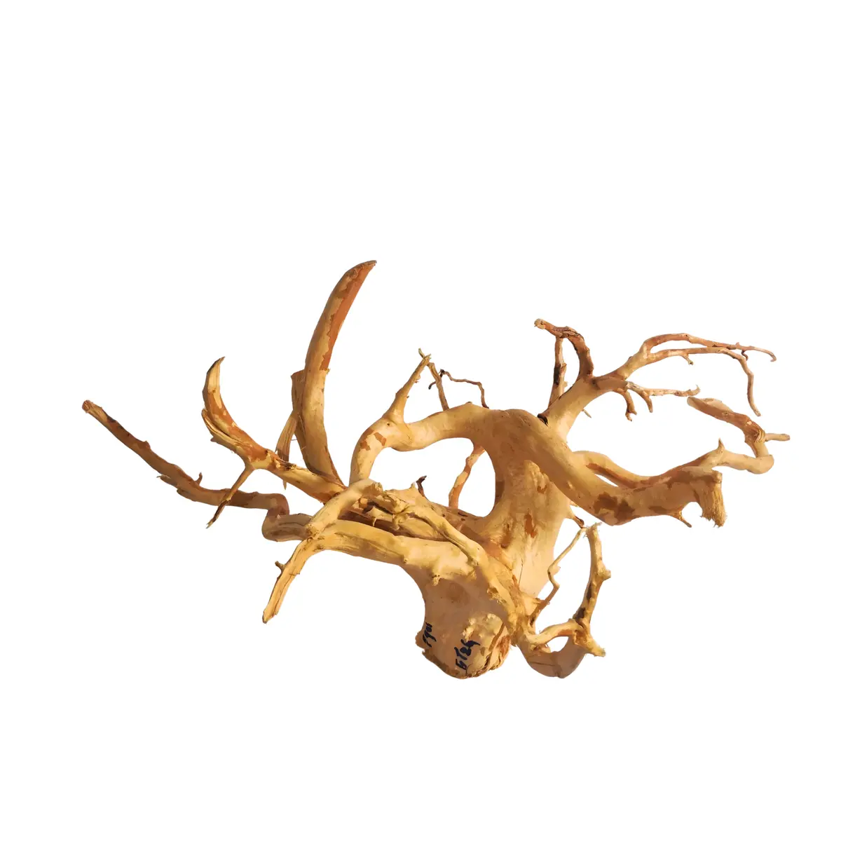 Premium Drift Wood Pd-26 | L*W*H = 27*19*10 Inches 1