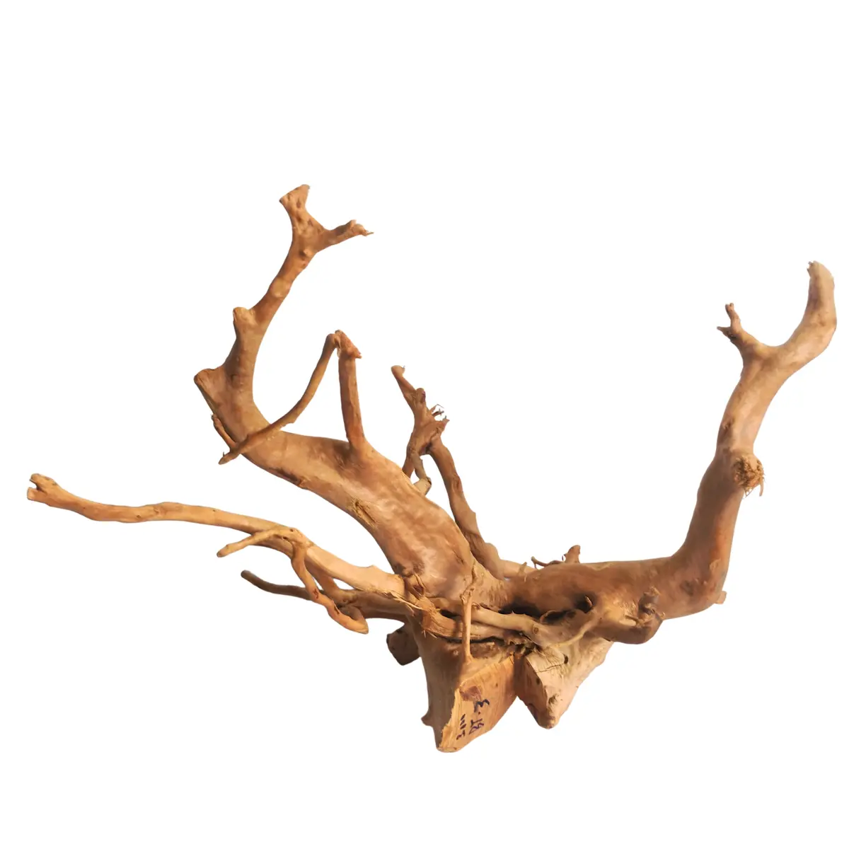 Premium Drift Wood Pd-3 | L*W*H = 24*19*14 Inches 1
