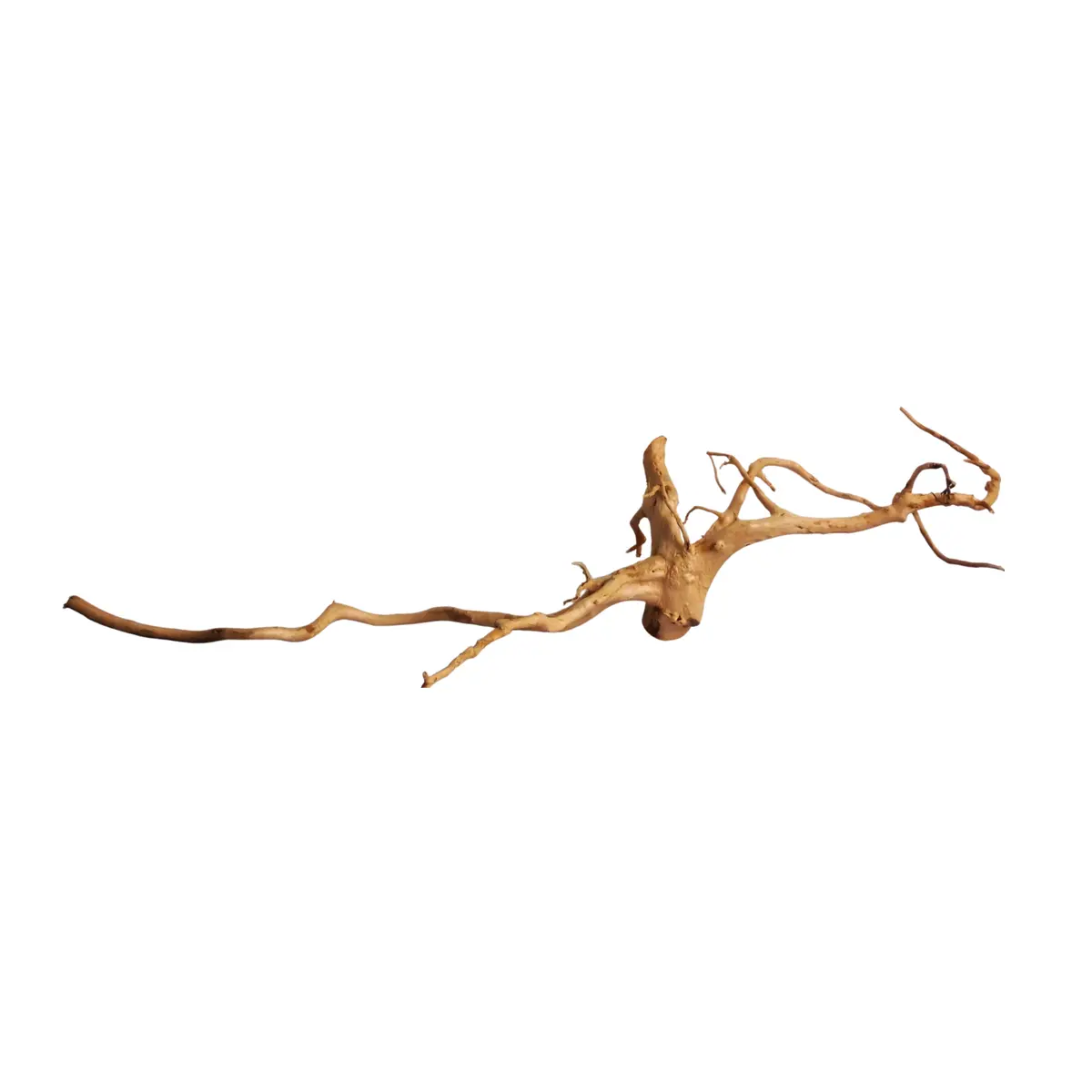 Premium Drift Wood Pd-6 | L*W*H = 40*16*11 Inches 1