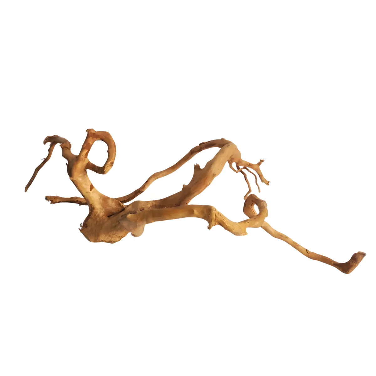 Premium Drift Wood Pd-7 | L*W*H = 21*14*7 Inches 1