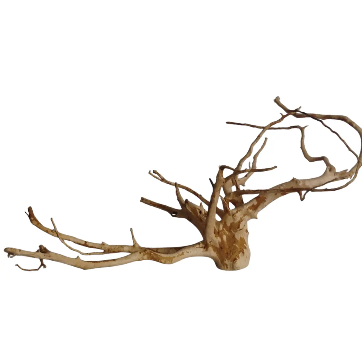 Premium Drift Wood - Pd24 | L*W*H = 26*21*14 Inches 1