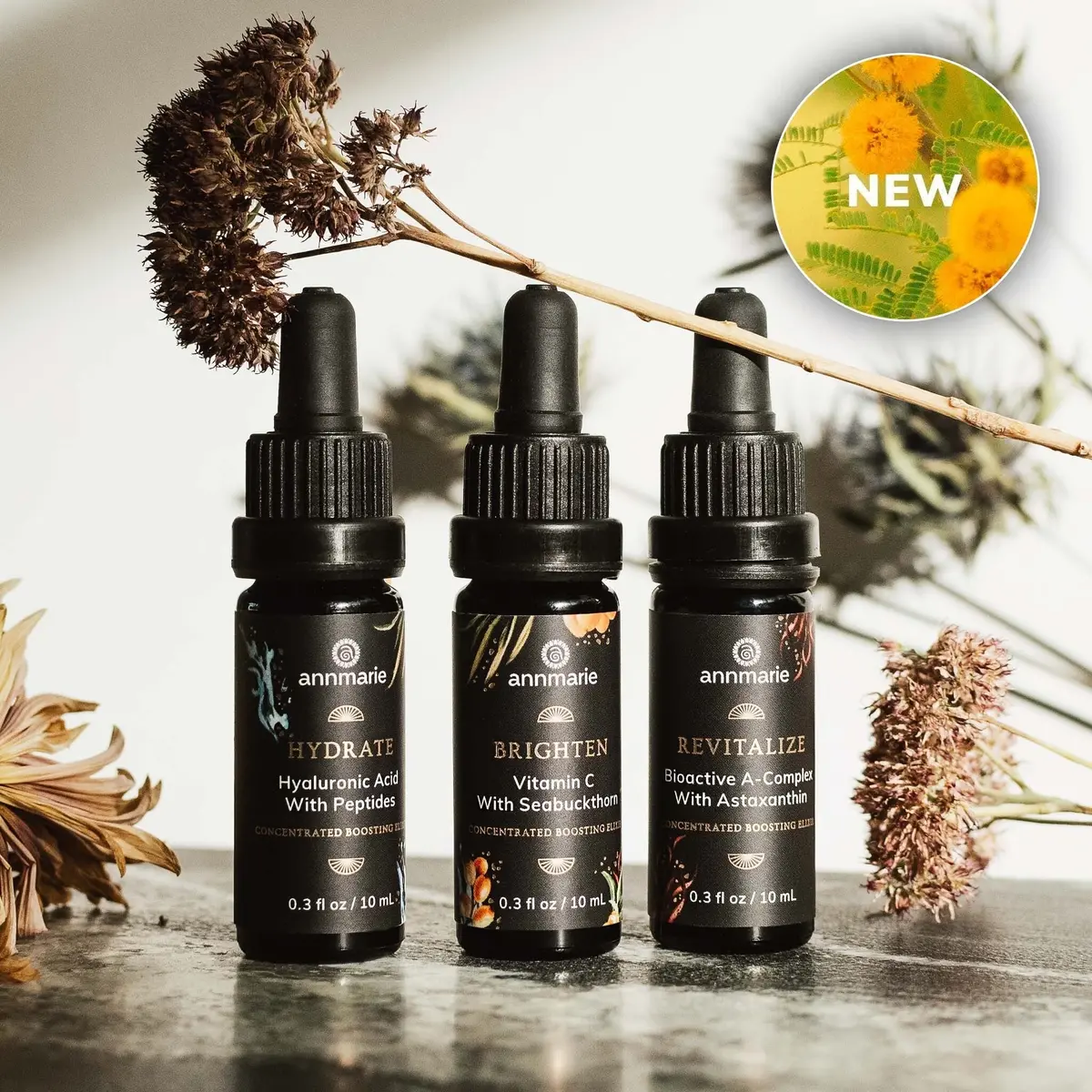 Annmarie Skin Care Concentrated Boosting Elixirs (10Ml Ea) 1