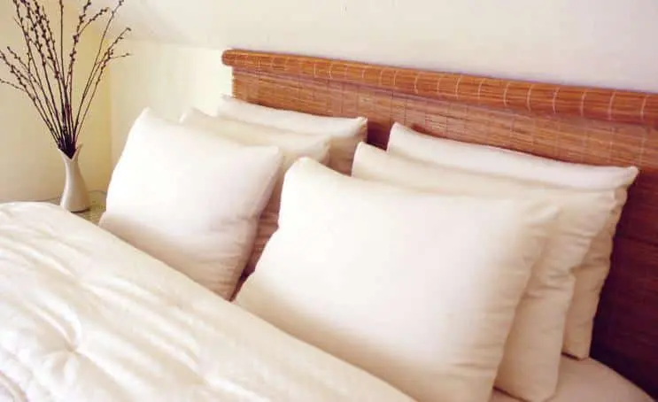 Holy Lamb Organics Wool-Filled Bed Pillows 1