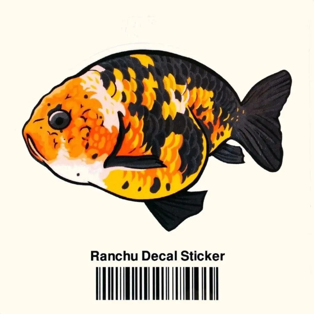 Ranchu Decal Sticker 1