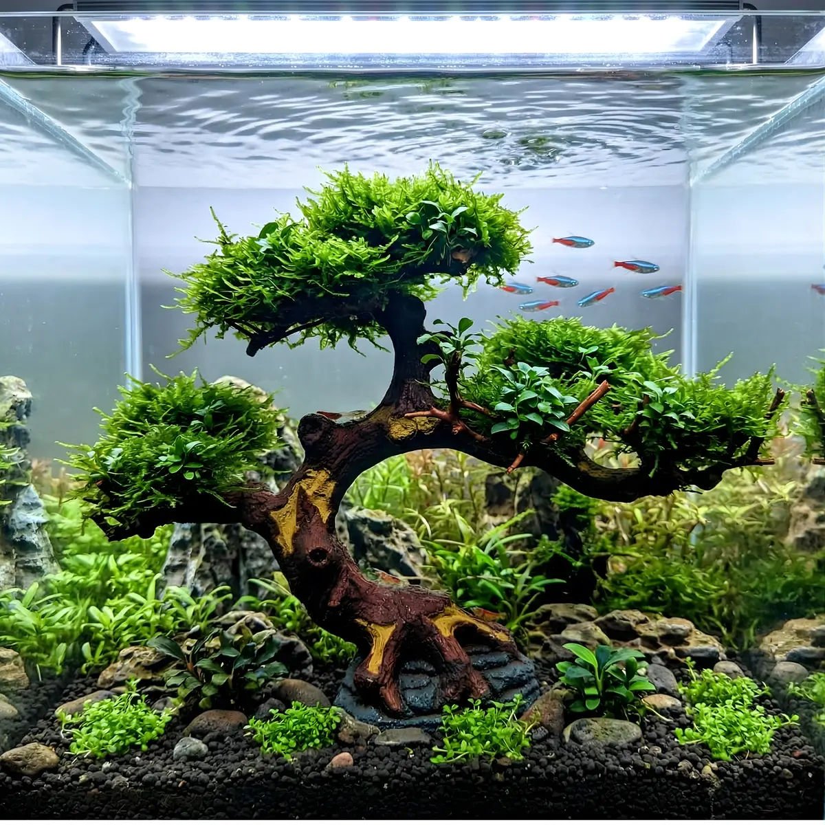 Ready Scape Aa - 004 | L*W*H = 11*5*7 Inches 1