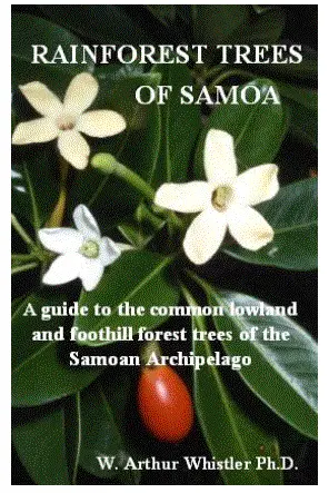Rainforest Trees Of Samoa 1