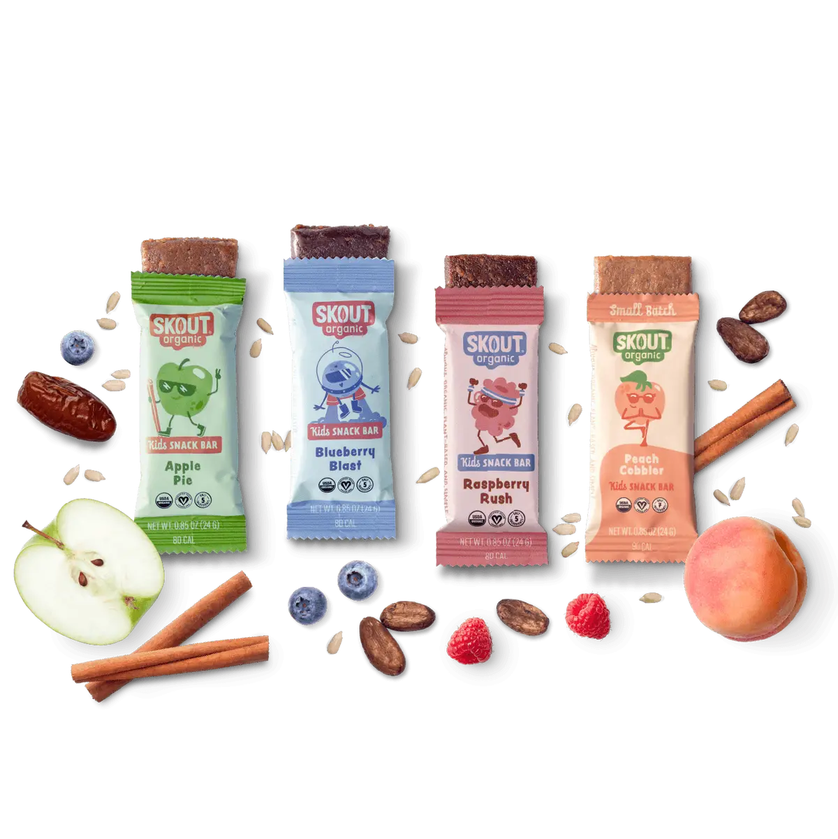 Skout Organic Small Batch Kids Fruit Bar Variety Pack 1