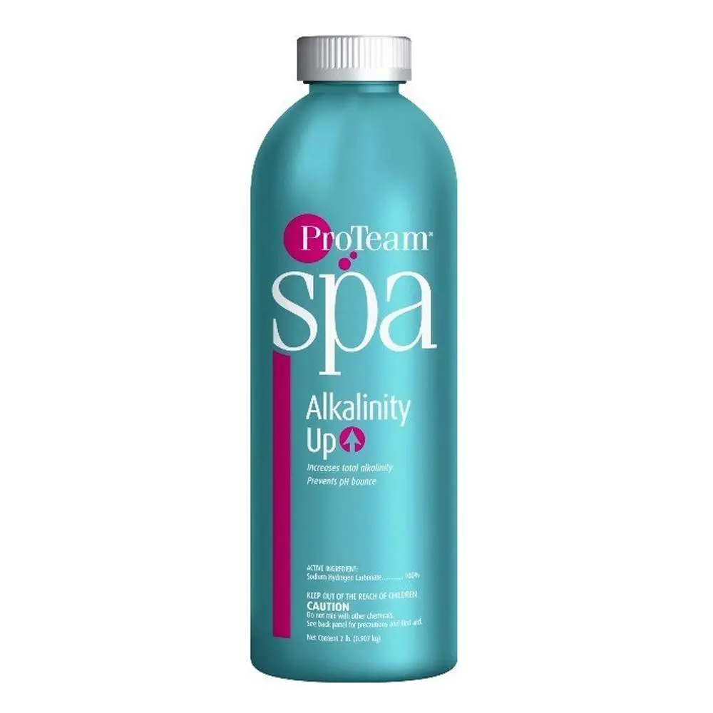 Proteam Spa Alkalinity Up 1