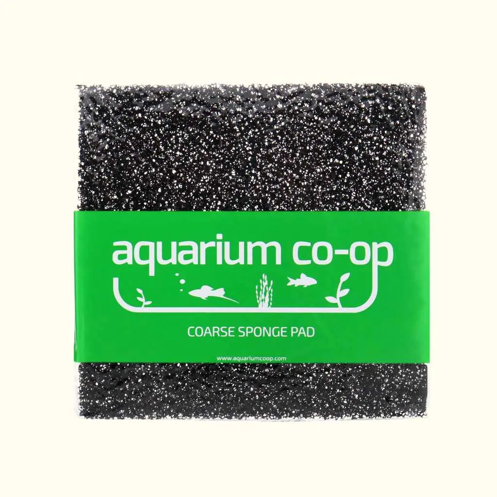 Sponge Pad Coarse 1