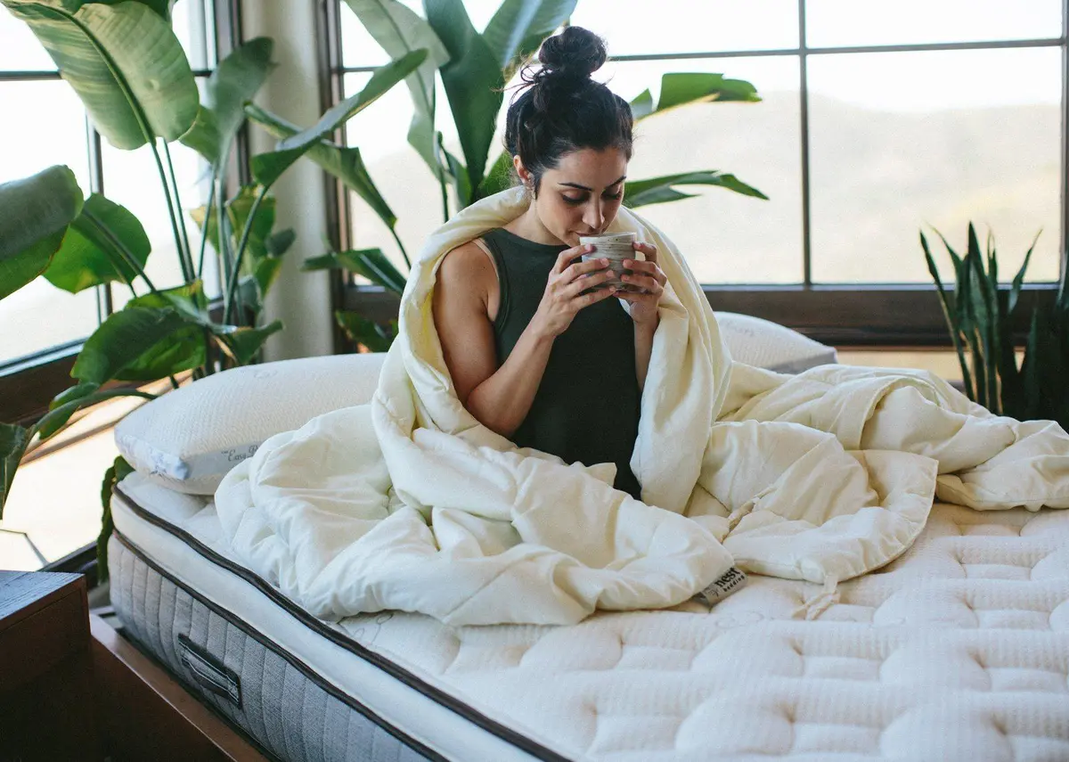 Nest Bedding Washable Wool Comforter 1