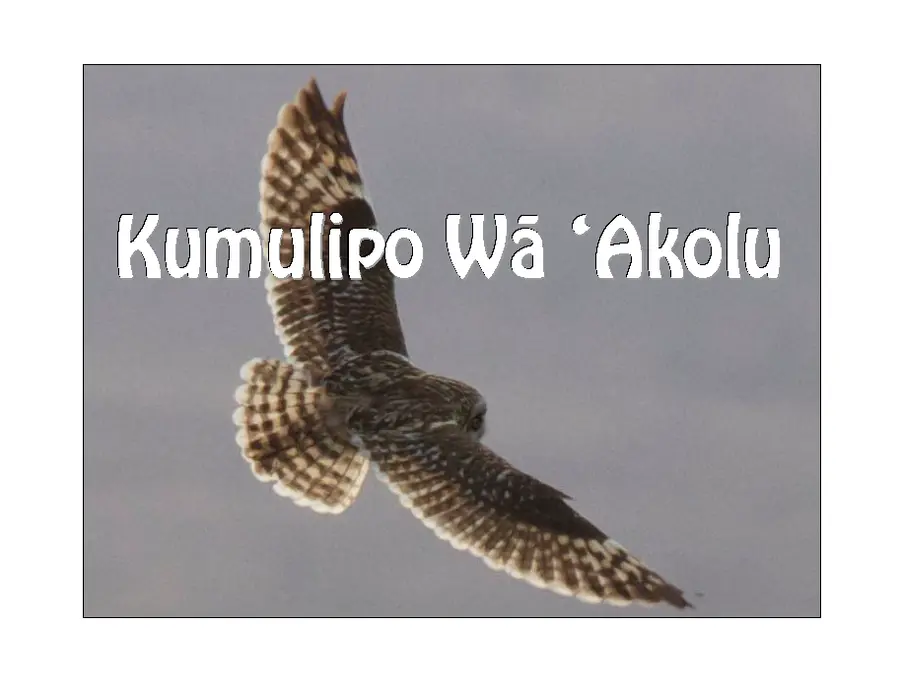Kumulipo Wā ʻakolu 1