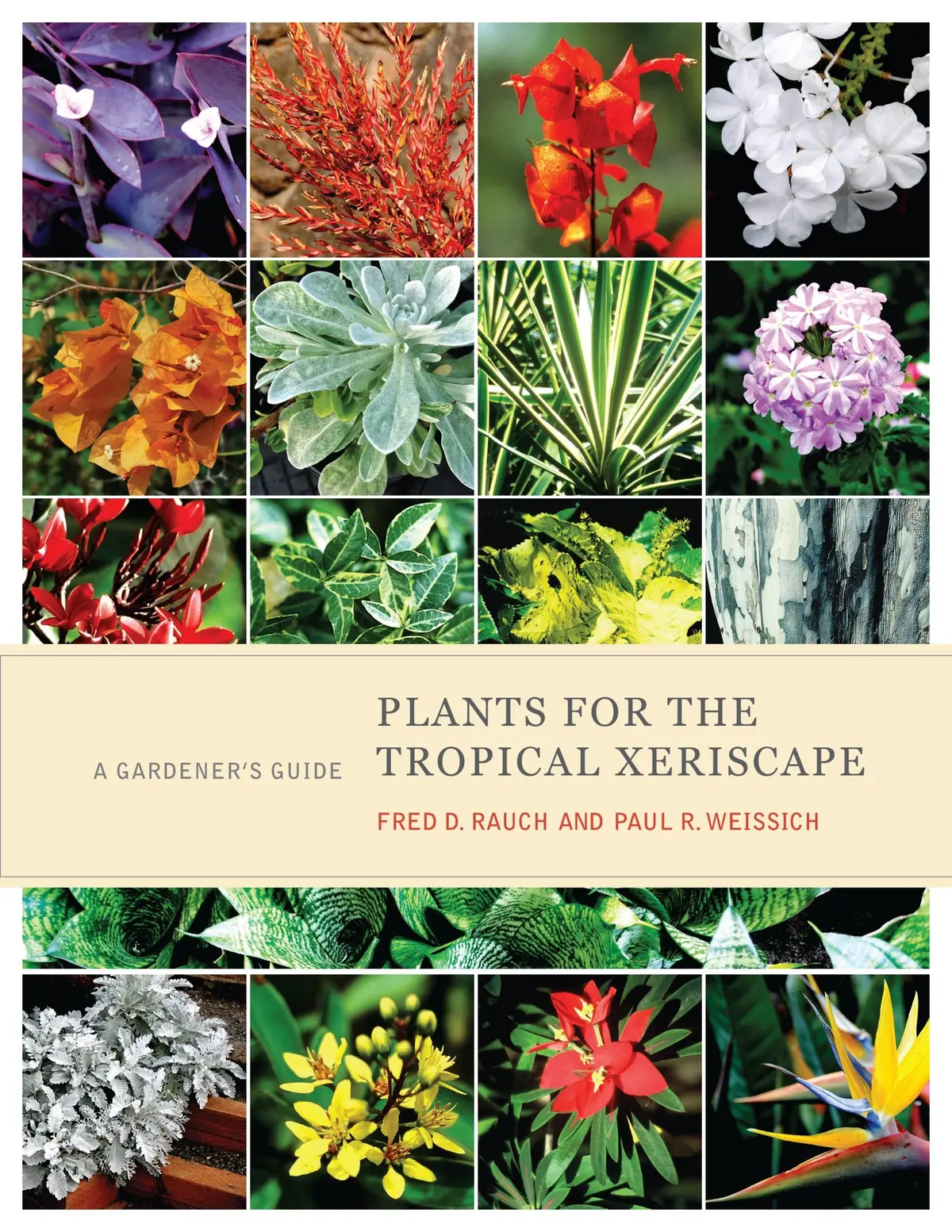 Plants For The Tropical Xeriscape: A Gardener’S Guide 1