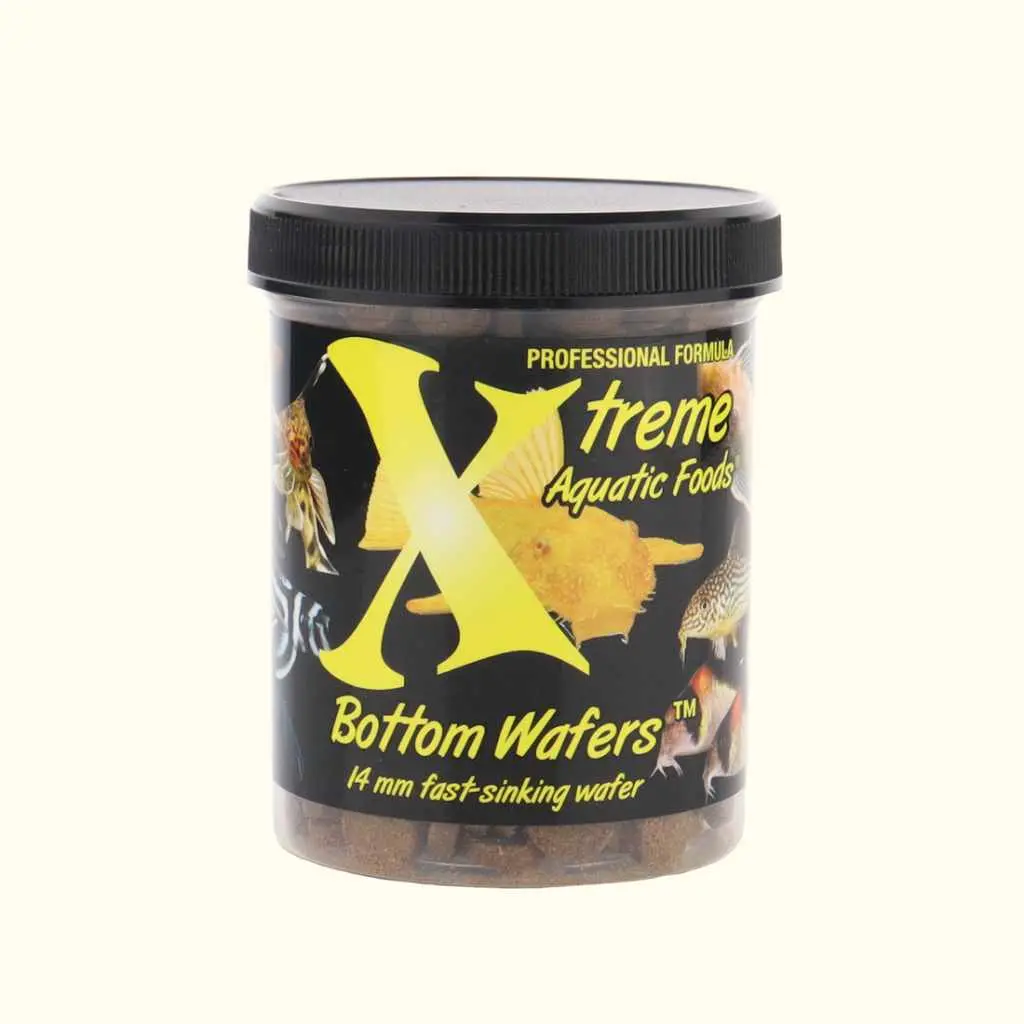 Xtreme Bottom Wafers 1