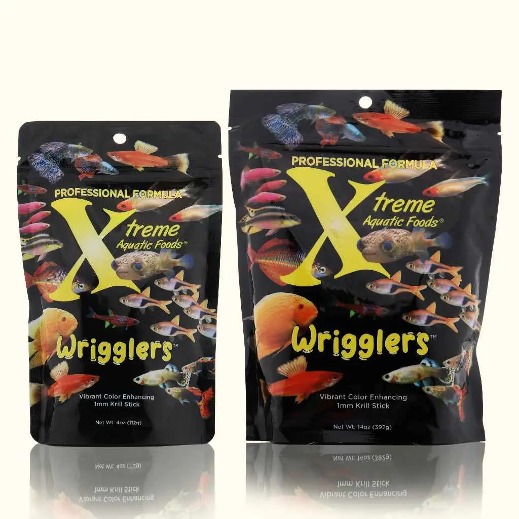 Xtreme Wrigglers 1