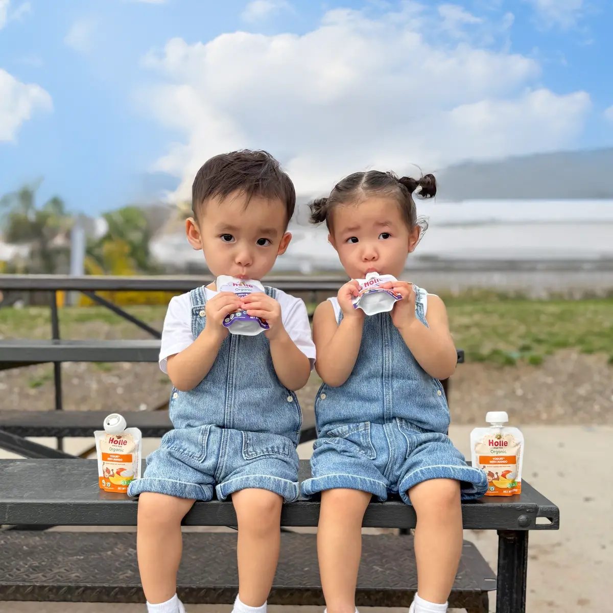 Holle Organic Yogurt Pouches - Mango 2