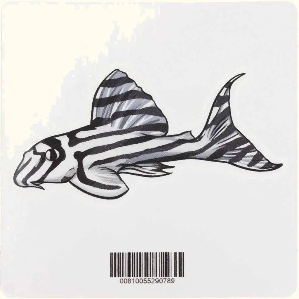 Zebra Pleco Decal Sticker 1