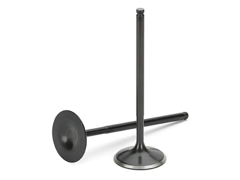 Supertech Nitrided Intake Valves For Nissan Sr20Ve – Set Of 8, Black Finish 1